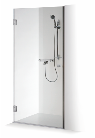 Shower door IEVA QUADRO
