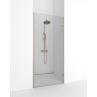 Shower door IEVA QUADRO